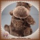 HISTOIRE D'OURS SOS DOUDOU HIPPOPOTAME TAUPE BOUCLETTE MARIONNETTE