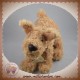 HISTOIRE D'OURS SOS DOUDOU CHIEN MILOU A POIL BEIGE MARRON