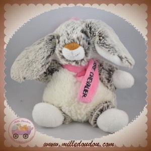 CARTEPOSTALERIE SOS DOUDOU LAPIN BLANC REFLET MARRON ECHARPE SERRE CHEVALIER