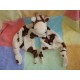 DIVERS DOUDOU PELUCHE GIRAFE PLATE MARRON ECRU NOEUD HAPPY HORSE