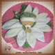 DOUDOU ET COMPAGNIE PELUCHE OURS FLEURS PETALES VERT BLANC